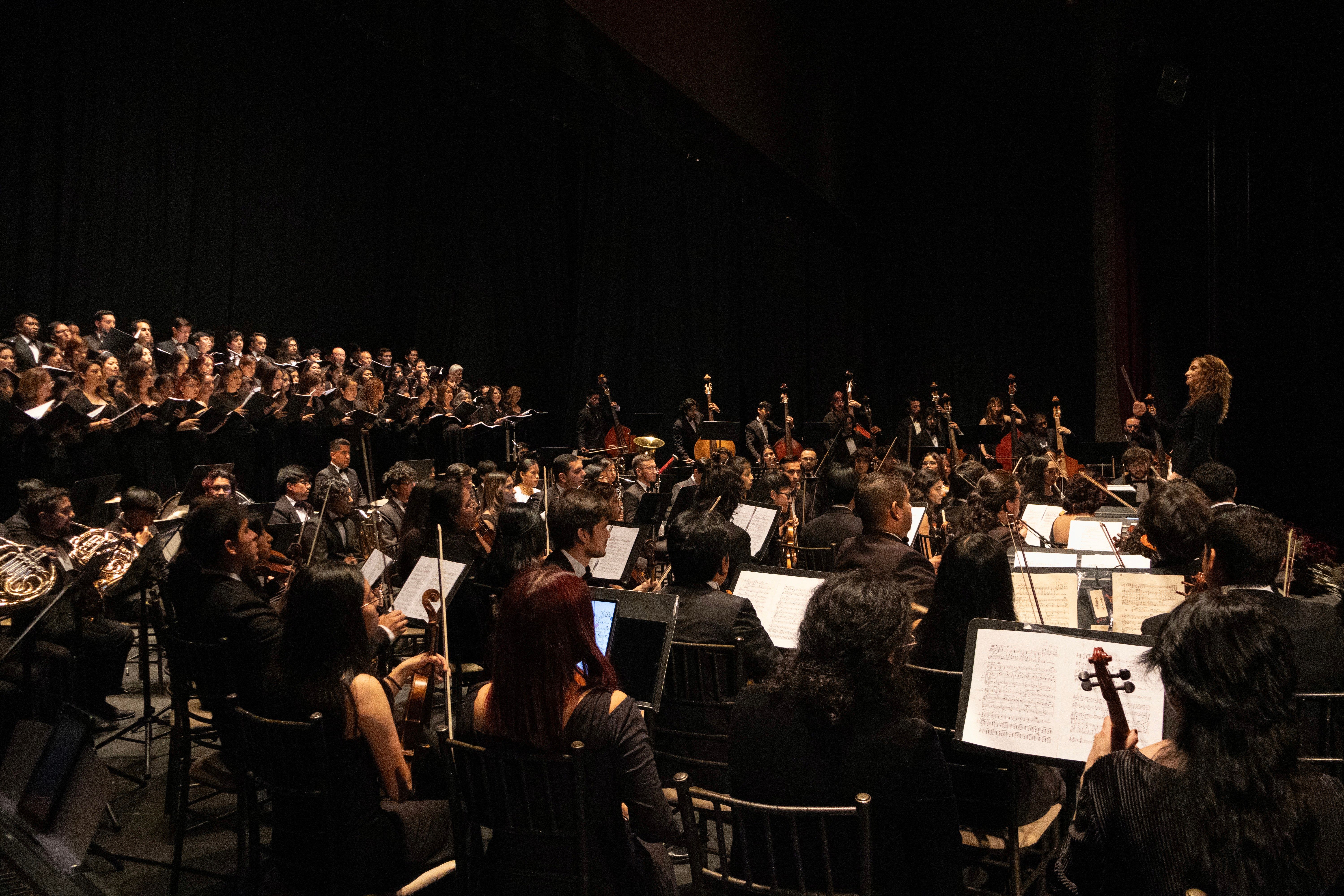 Músicos de la orquesta durante un concierto